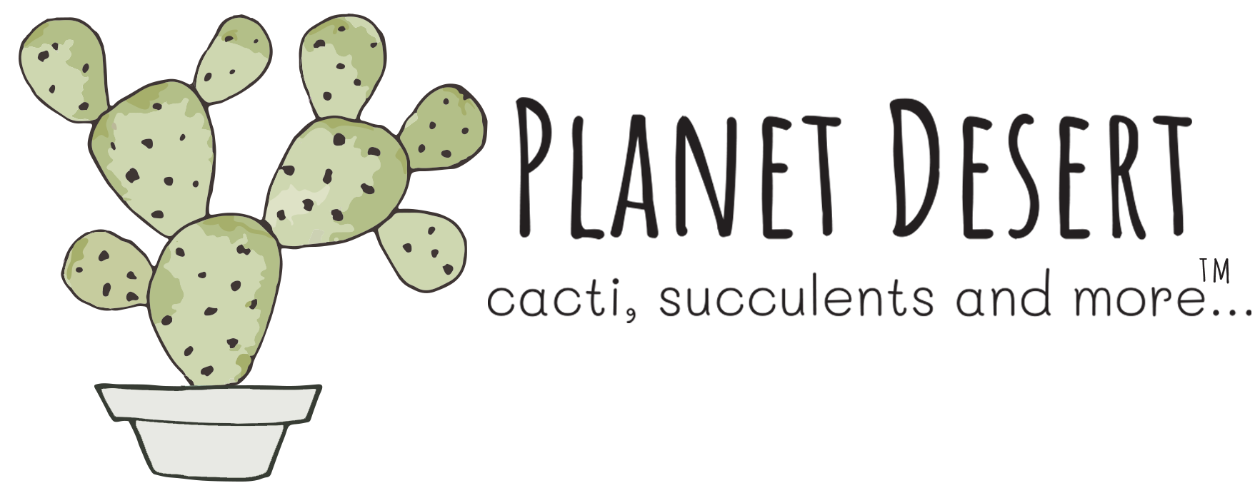 Planet Desert Catus Succulents For Sale